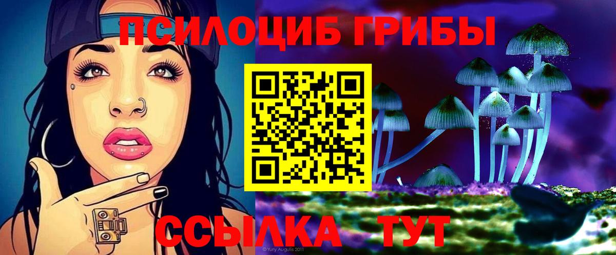 Арсеньев  Галлюциногенные грибы Psilocybine cubensis  Вход с VPN 
